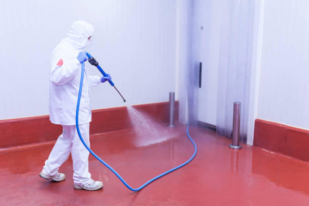 Professional Pressure Washing in Lone Star, TX