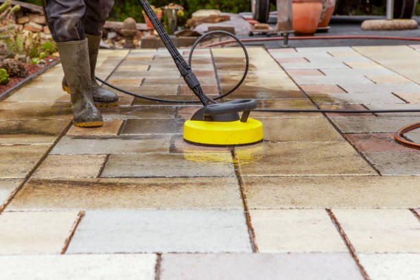 Best Animal Enclosure Cleaning  in Lone Star, TX