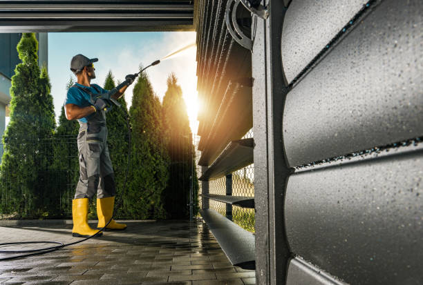 Best Graffiti Removal  in Lone Star, TX
