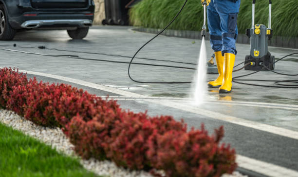 Best Sidewalk and Walkway Cleaning  in Lone Star, TX